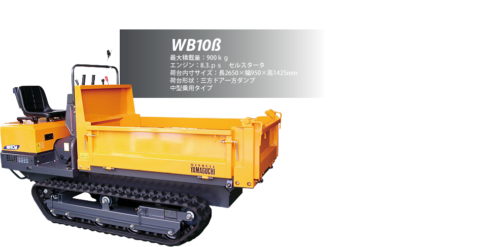WB10b